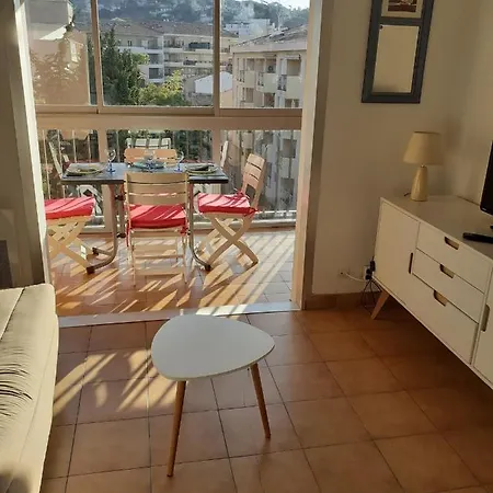 Apartment T1 Bis Centre A 50 M De La Avec Parking Prive